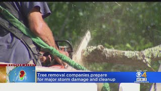 Tree Removal Companies Prepare For Major Storm Damage; Shoppers Stock Up On Food