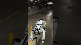 Goddard is sleepy 🌬️😴 see u later EA2 🤍