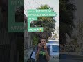 🤣አስቅኝ የኢትዮጵያ ቲክ ቶክ 🔥 tiktok video ebs