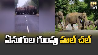 ఏనుగుల గుంపు హల్ చల్ | Elephants Hul Chul | Palamaner | BIG TV