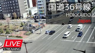 2025.01.25_2【LIVE】道路状況・札幌市国道36号線と創成川の状況