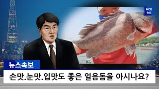 서신바다낚시터의  얼음돔 손맛~~