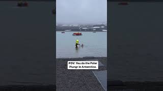 Polar Plunge in Antarctica: Dunk not Jump!