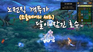 [DFO] 노전직 격투가 - 중천 상급던전 달이잠긴호수 플레이