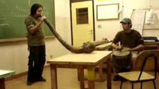 Jonas Didgeridoo Brasil