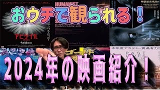 配信で観られる！2024年公開の面白い映画紹介しました！【コイン通り】