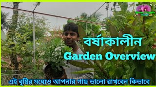 বর্ষা চলাকালীন Green Friends এর ছাদ বাগান পরিদর্শন /Rainy season Garden overview/