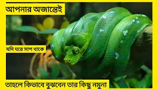 আপনার অজান্তেই যদি ঘরে সাপ ঘাপটি মেরে থাকে। তাহলে আপনি কিভাবে বুঝবেন??  তার কিছু নমুনা দেখুন 😳