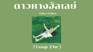 fellow fellow - ดาวหางฮัลเลย์ (Halley's Comet)  [Loop 2 hour]