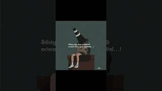 Sinhala Wadan ( සිංහල වදන් ) #shorts #tiktok #wadan #trending #whatsappstetas  #sinhalawadan