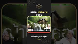 หนังสัตว์ เช่นวัว ควาย ใช้ได้ไหม  #annas#islamicvideo #muslim