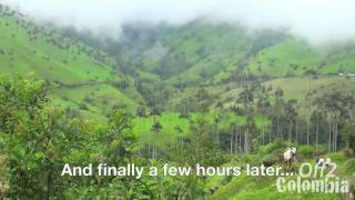 Valle de Cocora Colombia - Trek to the Cocora Valley near Salento