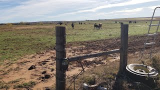 Everyone Builds Hotwire Fences Wrong (except for us, of course)