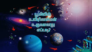 புதைபடிவங்களும் பரிணாம வளர்ச்சியும் -2|‌‌‍‌‌பூமியில் உயிரினம் தோன்றியது எப்படி?|CHRISTHUDHAS