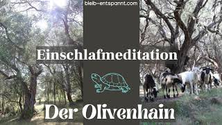 Meditation zum Einschlafen | Der Olivenhain | geführte Einschlafmeditation | besser einschlafen