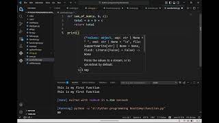 Sum using function in Python programming. Python Programming Boot-camp Module-4, Class-2.
