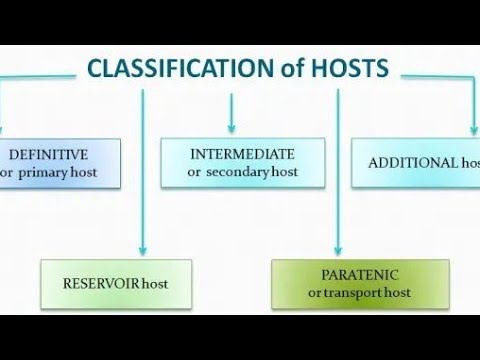 Host and host type, vector and vector type, parasitology unit, part one 3