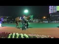 2017.5.10 大井🐎11r 第62回 羽田盃（si）パドック