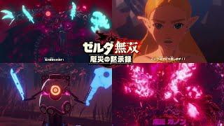 最終章 ラスボス 厄災ガノン対決 厄災封印戦 ゼルダ無双 厄災の黙示録【Hyrule Warriors: Age of Calamity】Zelda Nintendo switch