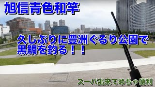 [ヘチ釣り] 豊洲ぐるり公園で青い竿を使って黒鯛を釣る！