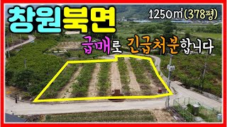 급매가 떳어요~ 창원 북면 땅 매매 1250㎡ (378평) #창원땅 #창원북면땅 #창원북면텃밭 #창원북면전원주택지 #창원주말농장