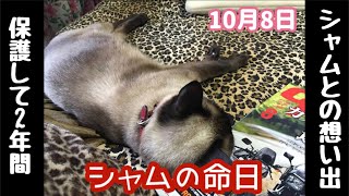 No.0021 今日はシャムの命日