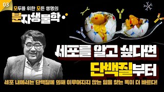 [모두를 위한 모든 생명의 분자생물학] 03강. 생명의 기계 : 단백질, 영양소 이상의 의미