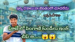 పూణే లో పింగాణి కుండీలు ఇంత చీప్ అనుకోలేదు|#gardening #pots #ceramic #plants #cheap #explore #tips