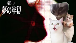 【猫ミーム】謎の牢獄から逃げ出す猫たちの物語 第3話