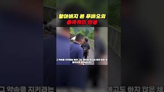 할아버지 본 푸바오의 충격적인 반응