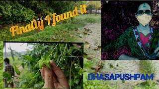 Dashapushpam | Medicinal Values | Ranju's Paradise