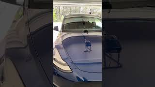 Detailing a tesla and adding a 1 year ceramic coating by DPC!! #ianselitemobiledetailing