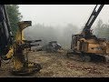 Timber Harvest Maine