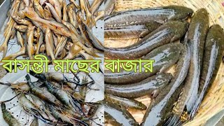 বাসন্তী মাছের বাজার || Fish Market price | Sundarban #india #food #viralvideo #sundarban #fish #vlog