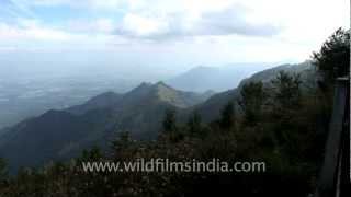 Scenic Kodaikanal and its verdant hills