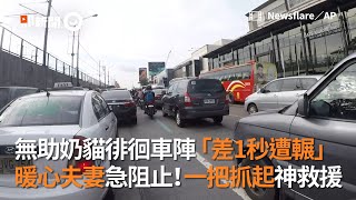 無助奶貓徘徊車陣「差1秒遭輾」暖心夫妻急阻止！一把抓起神救援