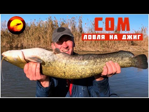 Видео рыбалка ловля сомов на джиг Видео рыбалка ловля сомов на джиг