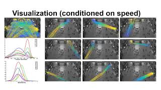 Informative Scene Decomposition for Crowd Analysis, Comparison and Simulation Guidance