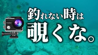 釣れない時は海の中を覗くな。水中カメラを入れなきゃ良かった・・カモシカの親子が困ってたので助けを呼んだ。