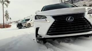 2019 Lexus RX350 and NX300