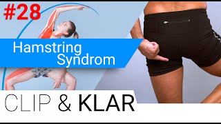 Hamstring Syndrom erklärt - Verkürzung, Verspannung, Ansatzentzündung