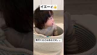 【LA】長男何してる笑2  #shorts #1歳児 #癒し #長男 #1人遊び