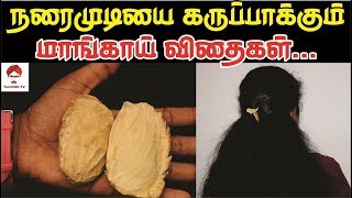 நரைமுடியை கருப்பாக்கும் மாங்காய் விதைகள் || How to use mango seeds for white hair in Tamil ||