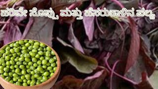 ರುಚಿಕರ ಮತ್ತು ಆರೋಗ್ಯಕರ ಹೆಸರುಕಾಳು ಮತ್ತು ಹರಿವೆ ಸೊಪ್ಪಿನ ಪಲ್ಯ/amaranth leaves and green gram palya