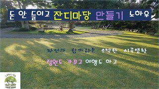 돈 안들이고 잔디마당 만들기 노하우#자연과 함께하는 소박한 시골생활#정원 가꾸고 여행하고#퇴직자의 취미생활