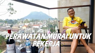 Sharing Perawatan Murai untuk Pekerja