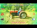 ගොඩ වැඩට සුපිරිම Tafe ටැක්ටර් තමයි | Tafe tractor is the best 🔥💯🤘 Best Tractor Farmer #tractor