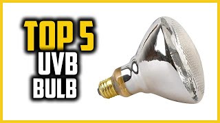 ✅Top 5 Best UVB Bulb For Bearded Dragon in 2023