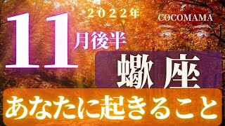 蠍座♏️ 【１１月後半あなたに起きること🌈】2022　ココママの個人鑑定級タロット占い🔮