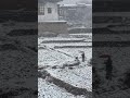 Bhutan Snowfall @ Paro